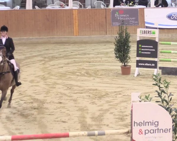 Rosendorf Classics 2017 Seppenrade
