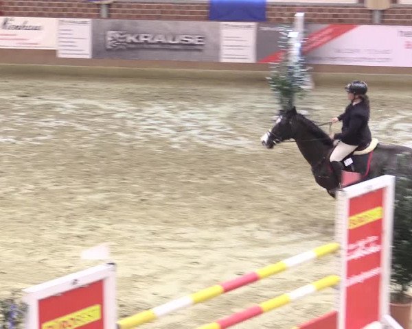 Rosendorf Classics 2017 Seppenrade