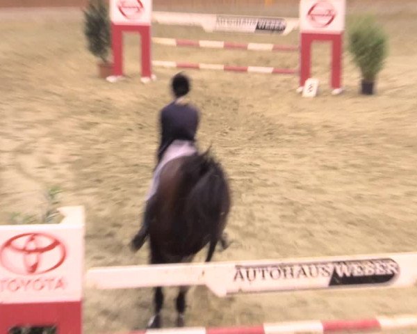 Rosendorf Classics 2017 Seppenrade