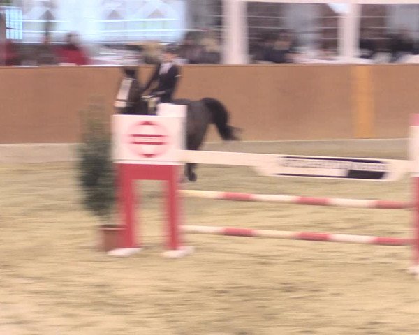 Rosendorf Classics 2017 Seppenrade