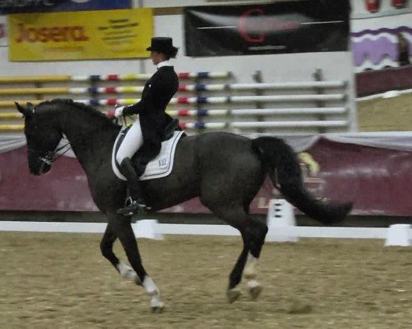 Reitturnier Eicherloh RH Laurent 2017