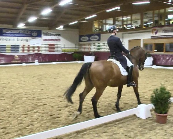 Reitturnier Eicherloh RH Laurent 2017