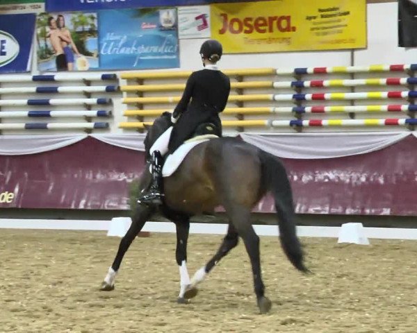 Reitturnier Eicherloh RH Laurent 2017