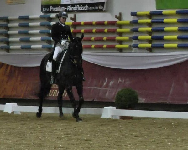 Reitturnier Eicherloh RH Laurent 2017
