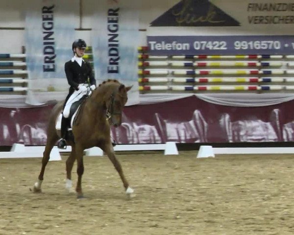 Reitturnier Eicherloh RH Laurent 2017
