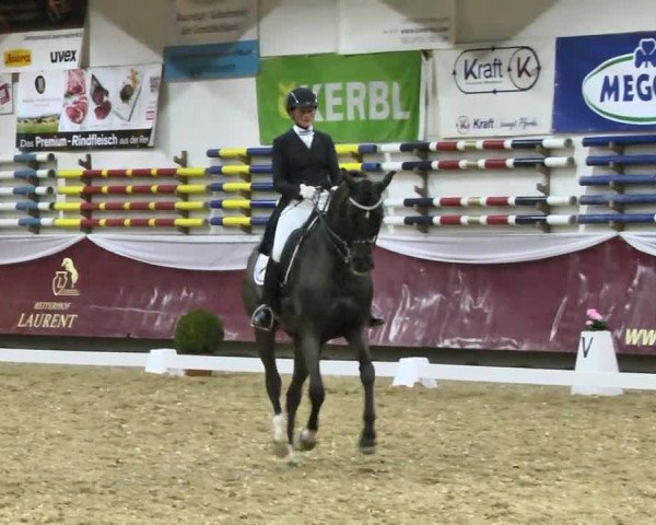 Reitturnier Eicherloh RH Laurent 2017