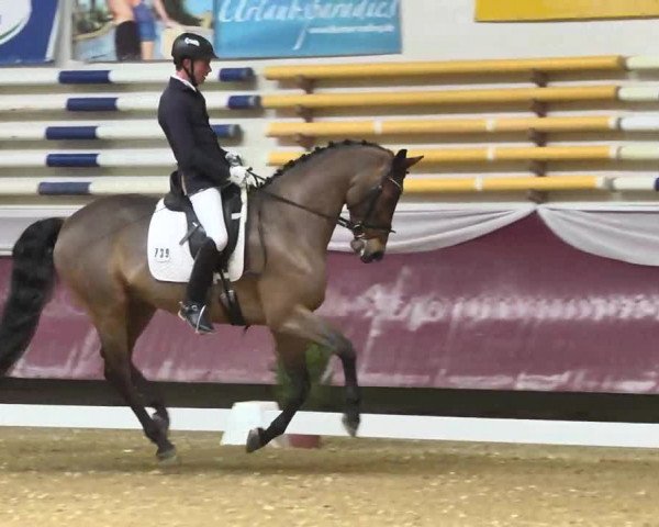 Reitturnier Eicherloh RH Laurent 2017