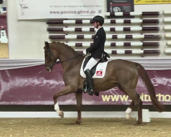 Reitturnier Eicherloh RH Laurent 2017