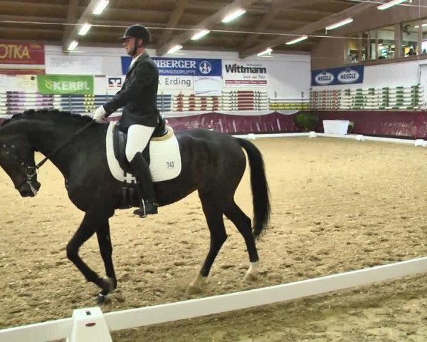 Reitturnier Eicherloh RH Laurent 2017