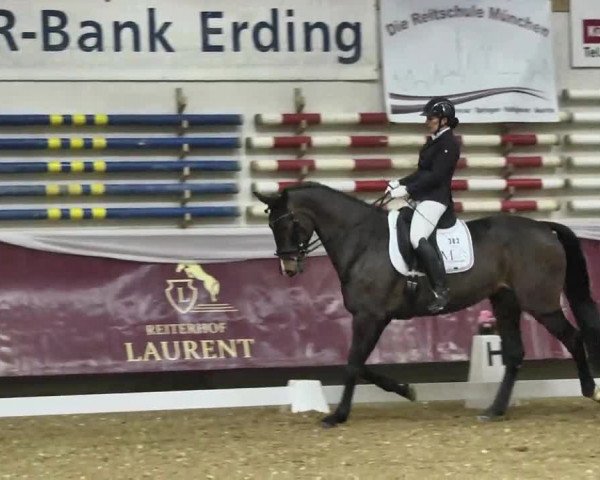 Reitturnier Eicherloh RH Laurent 2017