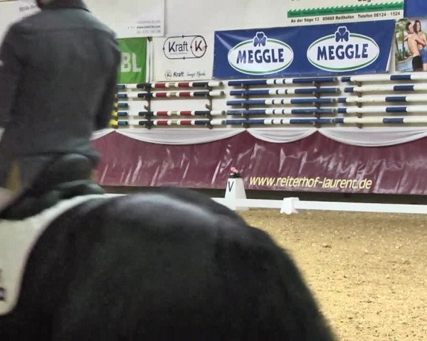 Reitturnier Eicherloh RH Laurent 2017