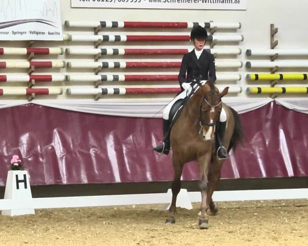 Reitturnier Eicherloh RH Laurent 2017