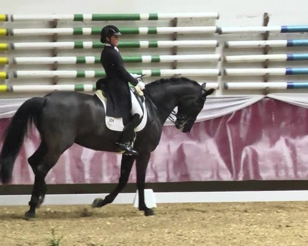 Reitturnier Eicherloh RH Laurent 2017