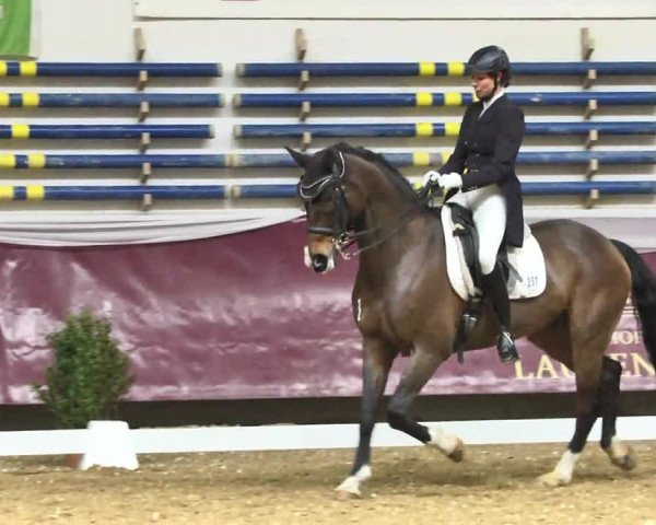 Reitturnier Eicherloh RH Laurent 2017