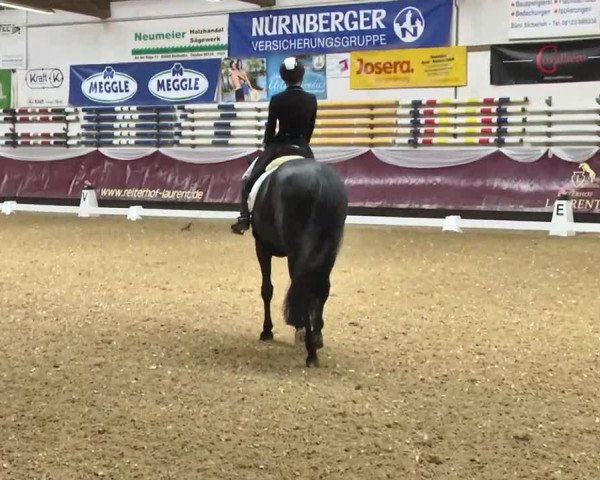 Reitturnier Eicherloh RH Laurent 2017