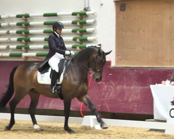 Reitturnier Eicherloh RH Laurent 2017