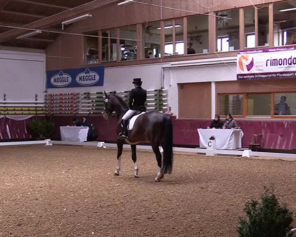 Reitturnier Eicherloh RH Laurent 2017