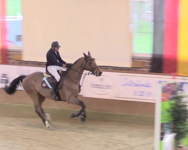 Rosendorf Classics 2017 Seppenrade