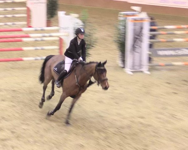 Rosendorf Classics 2017 Seppenrade