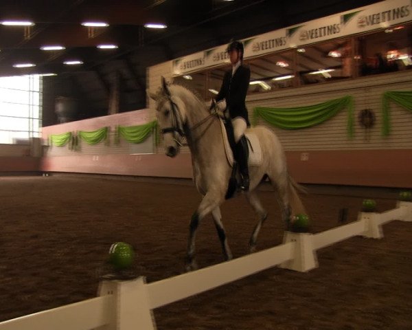 Reitturnier Hellefeld 2017