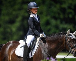 dressage horse Chocolato (German Riding Pony, 2003, from Constantin)