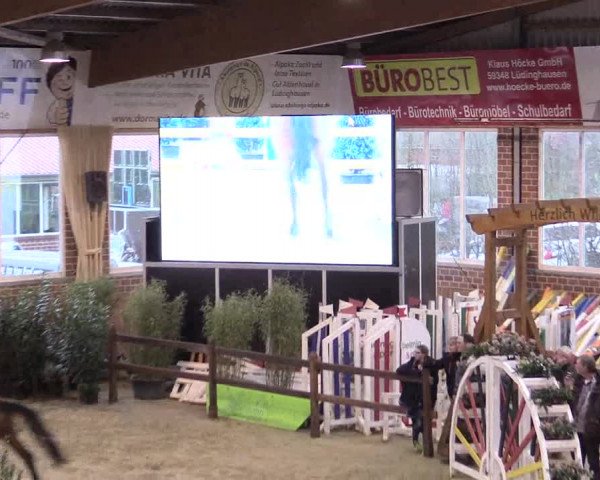 Rosendorf Classics 2017 Seppenrade