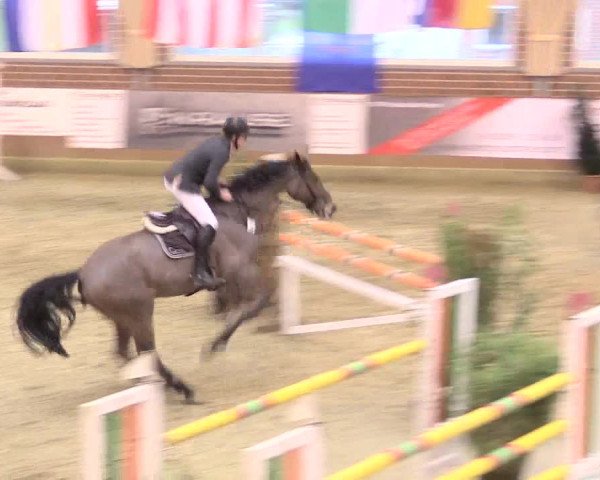 Rosendorf Classics 2017 Seppenrade