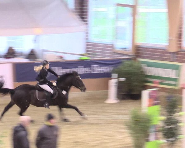 Rosendorf Classics 2017 Seppenrade