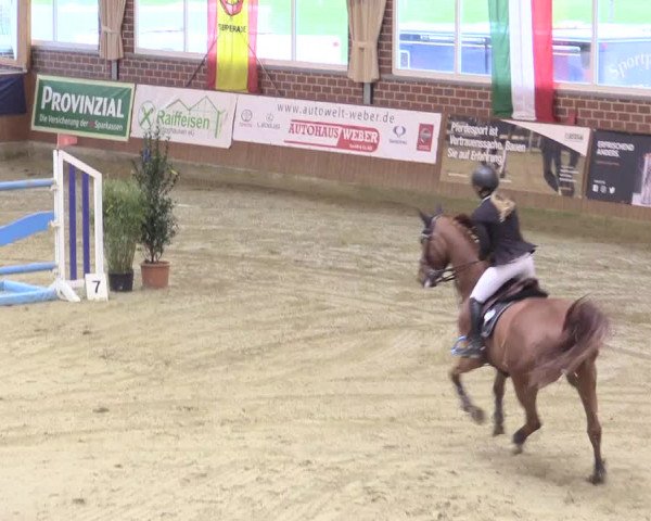 Rosendorf Classics 2017 Seppenrade