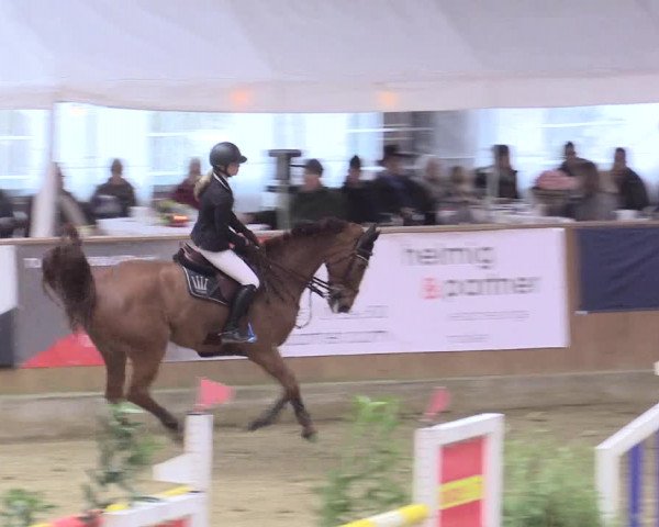 Rosendorf Classics 2017 Seppenrade