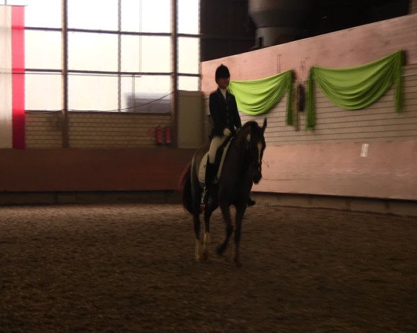 Reitturnier Hellefeld 2017