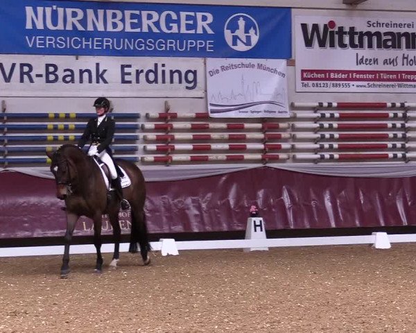 Reitturnier Eicherloh RH Laurent 2017