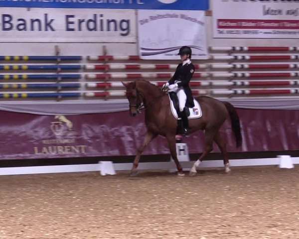 Reitturnier Eicherloh RH Laurent 2017