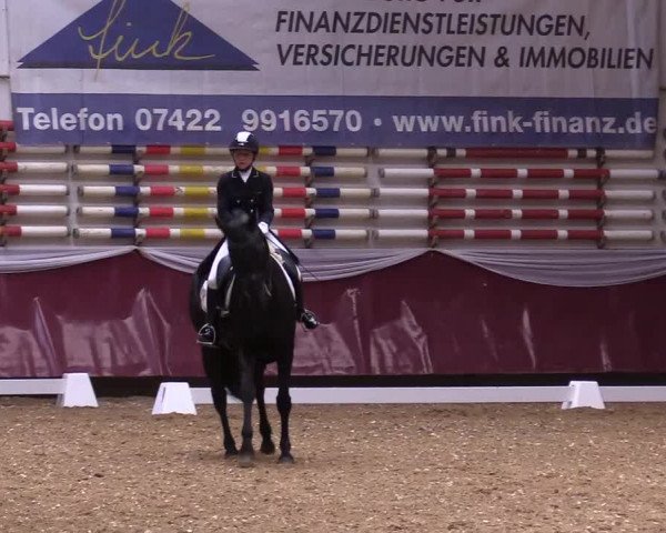 Reitturnier Eicherloh RH Laurent 2017