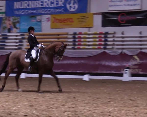 Reitturnier Eicherloh RH Laurent 2017