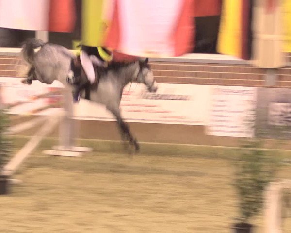 Rosendorf Classics 2017 Seppenrade