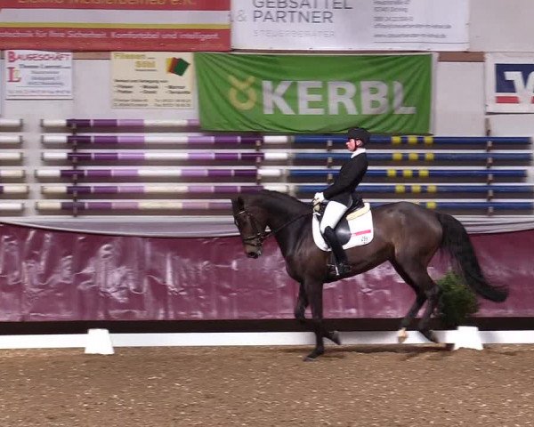 Reitturnier Eicherloh RH Laurent 2017