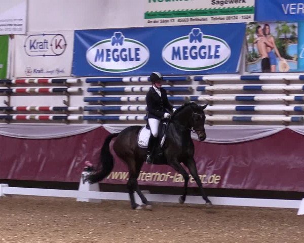 Reitturnier Eicherloh RH Laurent 2017