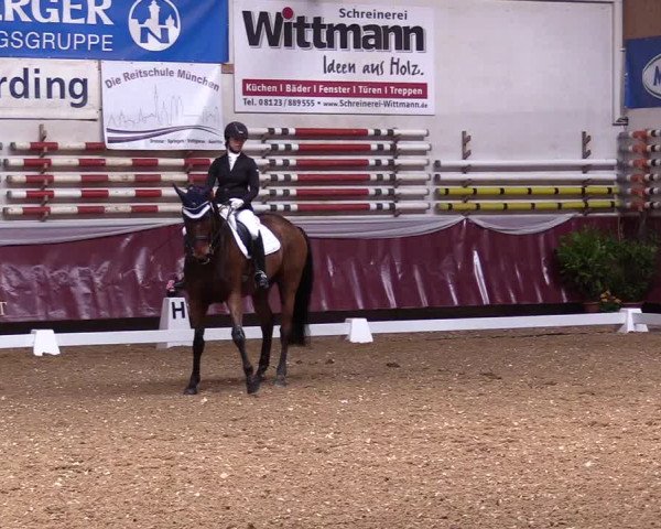 Reitturnier Eicherloh RH Laurent 2017