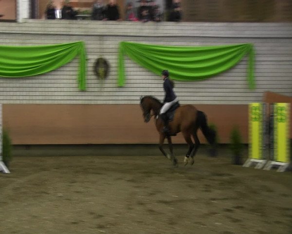 Reitturnier Hellefeld 2017