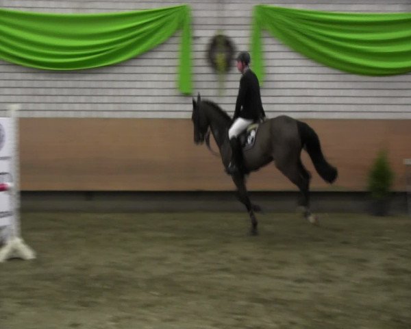 Reitturnier Hellefeld 2017