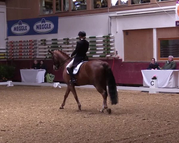 Reitturnier Eicherloh RH Laurent 2017
