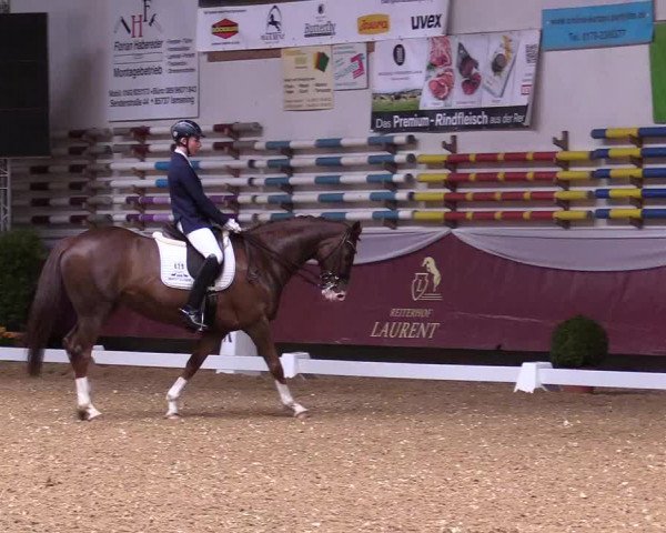 Reitturnier Eicherloh RH Laurent 2017