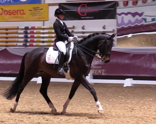 Reitturnier Eicherloh RH Laurent 2017