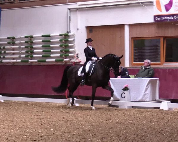 Reitturnier Eicherloh RH Laurent 2017