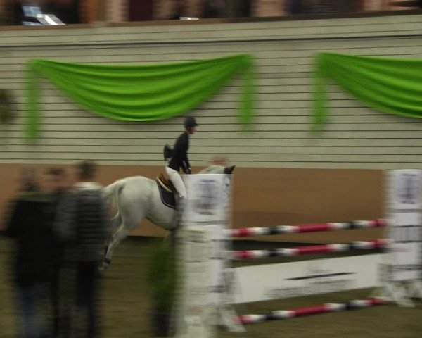 Reitturnier Hellefeld 2017