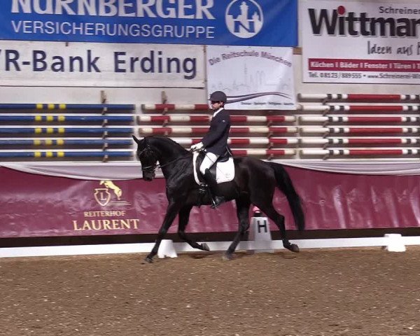 Reitturnier Eicherloh RH Laurent 2017