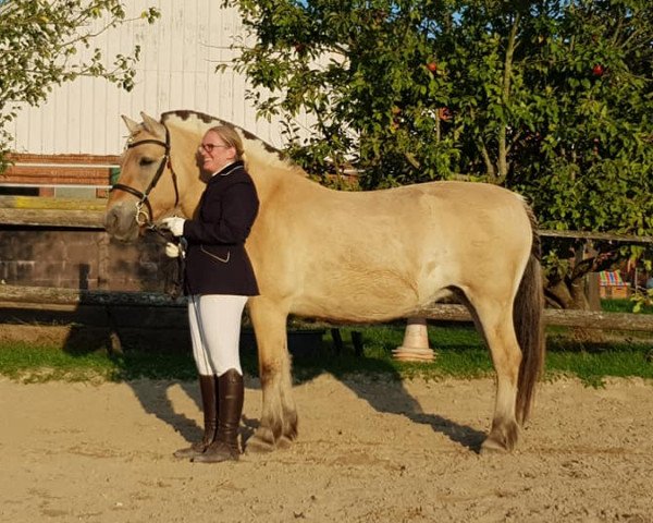 Pferd Klosterhof's Prinzessin (Fjordpferd, 2008, von Resen N.2673)