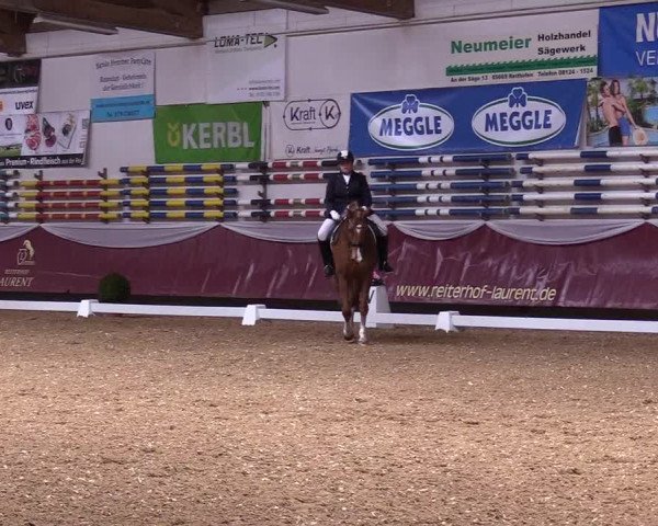Reitturnier Eicherloh RH Laurent 2017