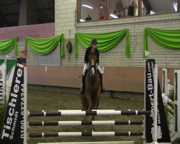 Reitturnier Hellefeld 2017